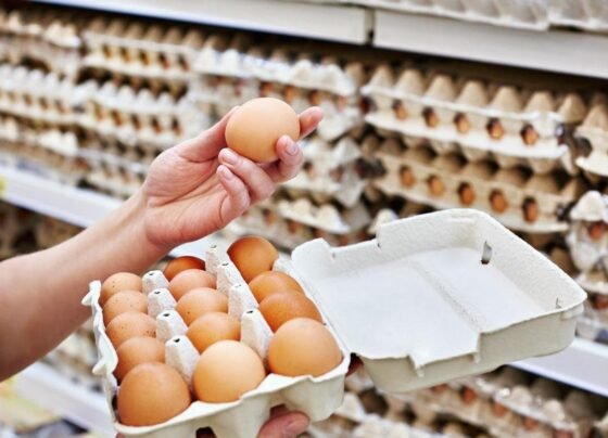 Preço dos ovos sobe 50% e pode aumentar mais