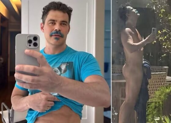 Carmo Dalla Vecchia - conteúdo adulto