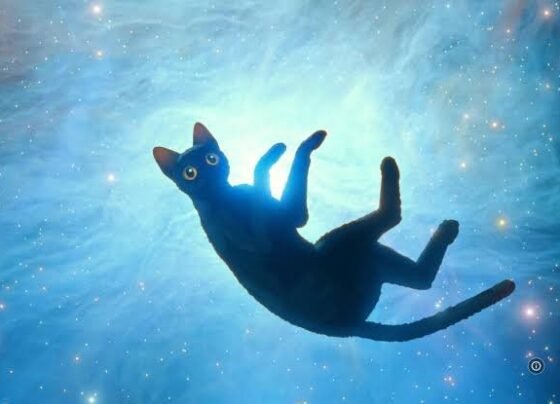 Flow: filme letão feito no Blender vence Oscar 2025