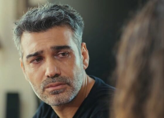 sarp força de mulher