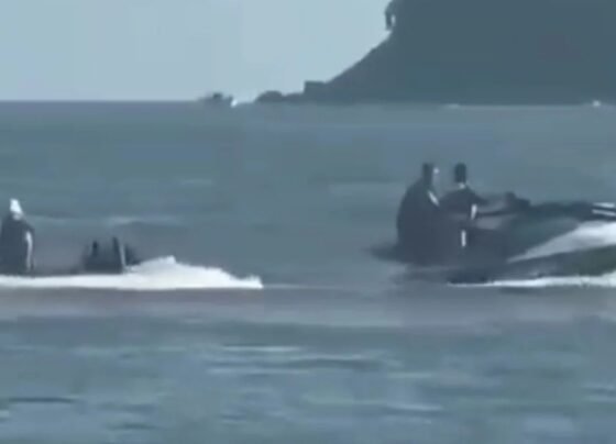 Polícia encontra suspeito de ataque com jet-ski contra casal no litoral paulista (Divulgação)