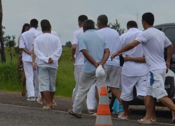 Saidinha (Divulgação)