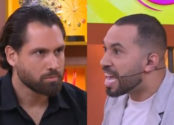 Brigido e Gil do Vigor no Bate-Papo BBB após eliminação no BBB 26